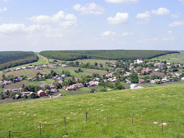 Конюхи